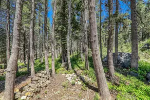 10019 Bunny Hl Rd, Soda Springs, CA 95728 - Photo 7