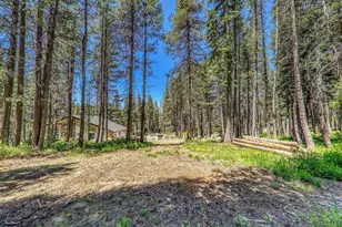 10019 Bunny Hl Rd, Soda Springs, CA 95728 - Photo 19