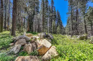 10019 Bunny Hl Rd, Soda Springs, CA 95728 - Photo 23