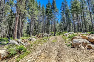 10019 Bunny Hl Rd, Soda Springs, CA 95728 - Photo 15
