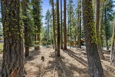 880 Sunny Drive, Homewood, CA 96141 - Photo 17