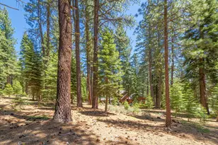 11752 Saddleback Dr, Truckee, CA 96161 - Photo 1