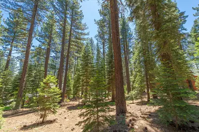 11752 Saddleback Drive, Truckee, CA 96161 - Photo 13
