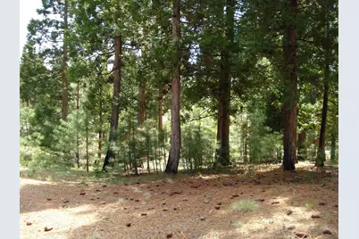 745 Blacktail Ridge, Portola, CA 96122 - Photo 3