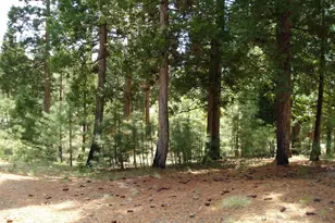 745 Blacktail Ridge, Portola, CA 96122 - Photo 3