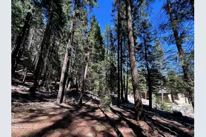 84 Yonkalla Trail, Graeagle, CA 96103 - Photo 13