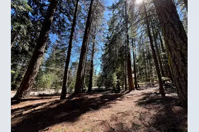 84 Yonkalla Trail, Graeagle, CA 96103 - Photo 1