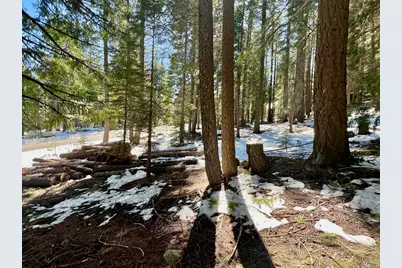 84 Yonkalla Trail, Graeagle, CA 96103 - Photo 21