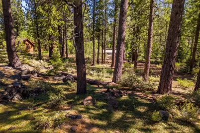 524 Lars Haugen, Truckee, CA 96161 - Photo 9