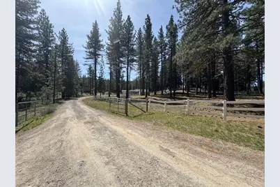 4678 Portola-Mclears Road, Portola, CA 96122 - Photo 3