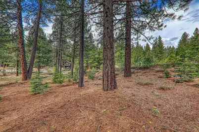 11301 China Camp Road, Truckee, CA 96161 - Photo 13