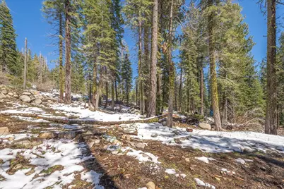 51337 Jeffery Pine Drive, Soda Springs, CA 95728 - Photo 9