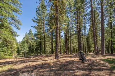 12721 Granite Drive, Truckee, CA 96161 - Photo 7