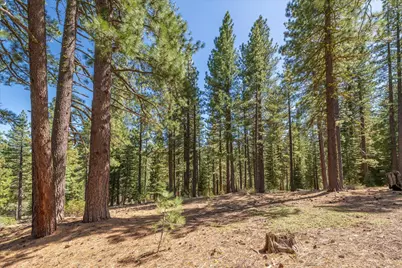 12721 Granite Drive, Truckee, CA 96161 - Photo 3