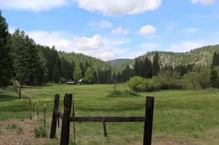 1200 1101 1000 Golden Feather Ranch Rd, Graeagle, CA 96103 - Photo 5