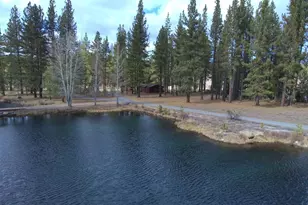 1200 1101 1000 Golden Feather Ranch Rd, Graeagle, CA 96103 - Photo 13