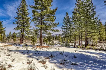 300 Bob Haslem, Truckee, CA 96161 - Photo 7
