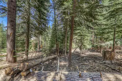 10902 Laurelwood Drive, Truckee, CA 96161 - Photo 11