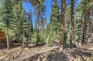 10902 Laurelwood Dr, Truckee, CA 96161 - Photo 1