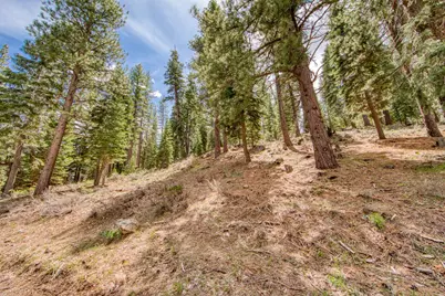 15675 Donnington Lane, Truckee, CA 96160 - Photo 7