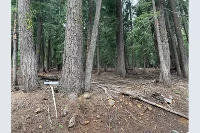 1187 Regency Way, Tahoe Vista, CA 96148 - Photo 9