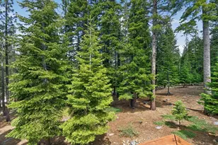 13096 Davos Dr, Truckee, CA 96161 - Photo 19