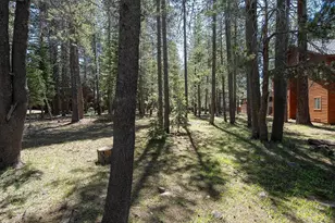13075 Northwoods Blvd, Truckee, CA 96161 - Photo 19