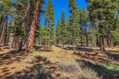 12672 Granite Drive, Truckee, CA 96161 - Photo 13