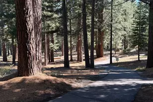10265 Blue Jay Ln, Truckee, CA 96161 - Photo 27