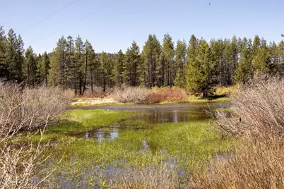 50675 Conifer, Soda Springs, CA 95728 - Photo 3