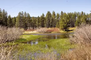 50675 Conifer, Soda Springs, CA 95728 - Photo 3