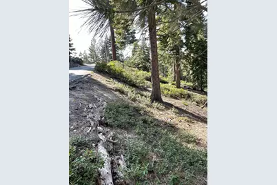 8988 Woodland Drive, Meeks Bay, CA 96142 - Photo 7