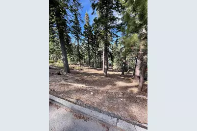 8988 Woodland Drive, Meeks Bay, CA 96142 - Photo 3