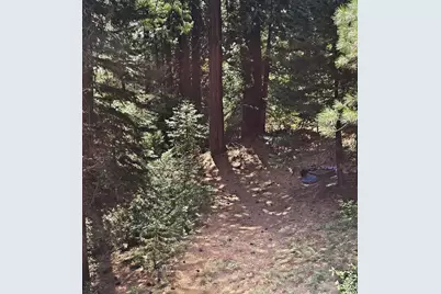 41100 Putt Road, Emigrant Gap, CA 95715 - Photo 3