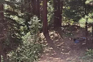 41100 Putt Rd, Emigrant Gap, CA 95715 - Photo 3