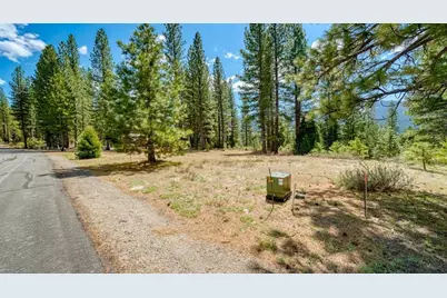 118 Saddle Ridge Road, Clio, CA 96106 - Photo 5