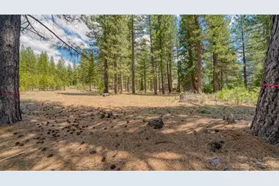 118 Saddle Ridge Road, Clio, CA 96106 - Photo 7