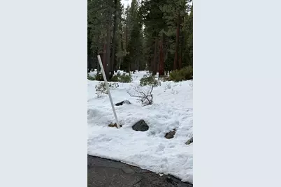 7464 Lily Avenue, Tahoe Vista, CA 96148 - Photo 9