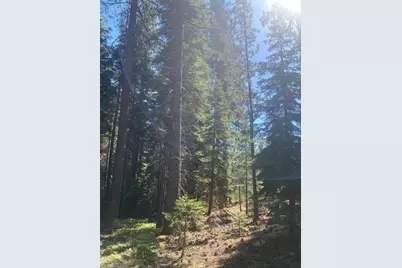 7464 Lily Avenue, Tahoe Vista, CA 96148 - Photo 7