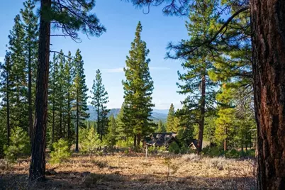 462 Grizzly Ranch Road, Portola, CA 96122 - Photo 5