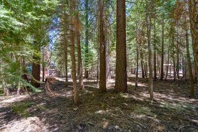 7234 3rd Avenue, Tahoma, CA 96142 - Photo 7