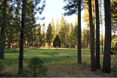 44 Black Bear Trail, Clio, CA 96106 - Photo 1