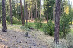 235 Black Bear Trail, Clio, CA 96103 - Photo 1