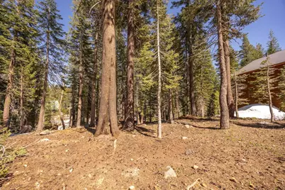 3216 Slumber Way, Soda Springs, CA 95728 - Photo 1