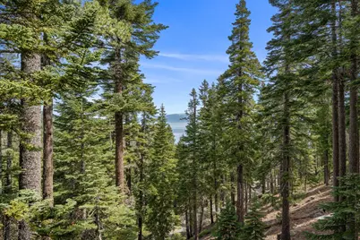 8993 Forest View Drive, Tahoma, CA 96142 - Photo 5