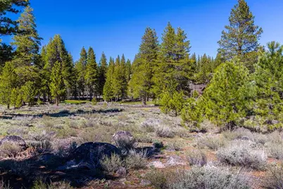 735 John McKinney, Truckee, CA 96161 - Photo 9