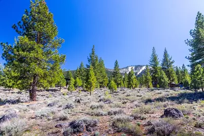 735 John McKinney, Truckee, CA 96161 - Photo 5