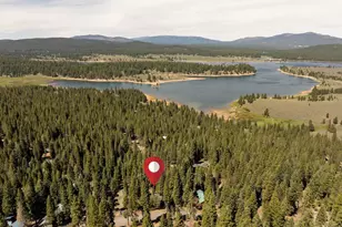 10868 Laurelwood Dr, Truckee, CA 96161 - Photo 21