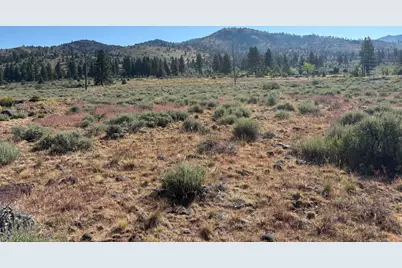364 Wrangler Drive, Loyalton, CA 96118 - Photo 3