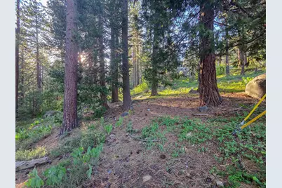 15444 Cedar Point Drive, Truckee, CA 96161 - Photo 19
